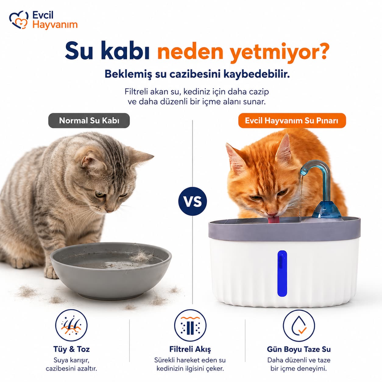 Işıklı Filtreli Otomatik Su Pınarı
