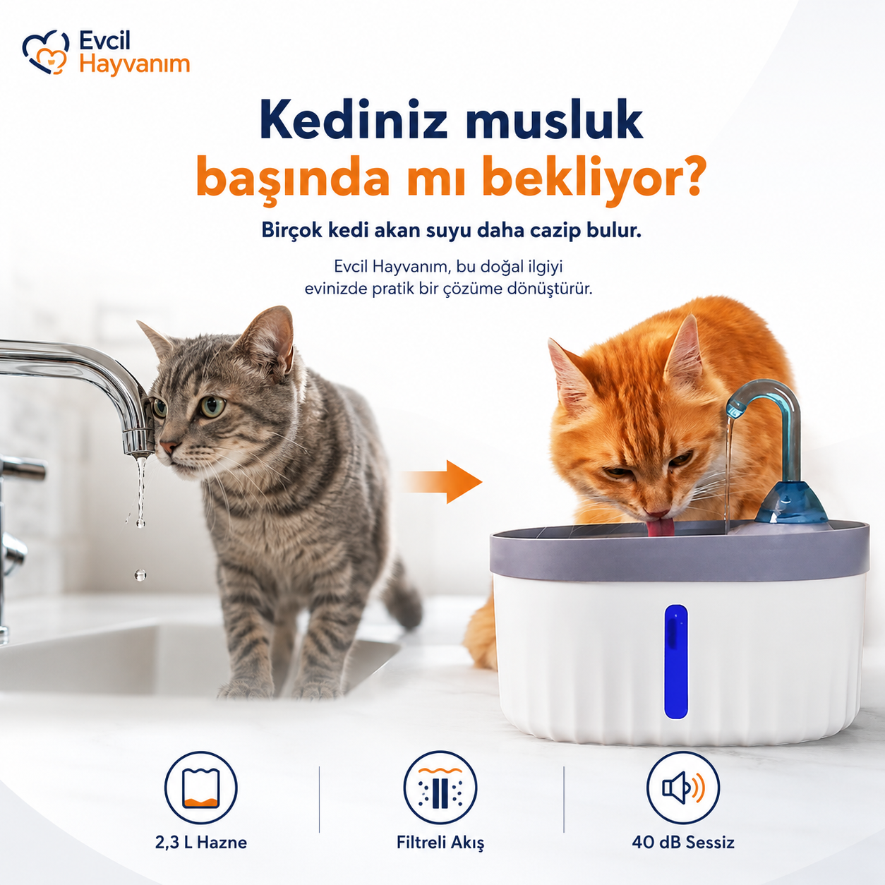 Işıklı Filtreli Otomatik Su Pınarı